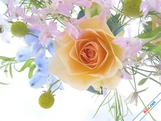 13201217526382.webp