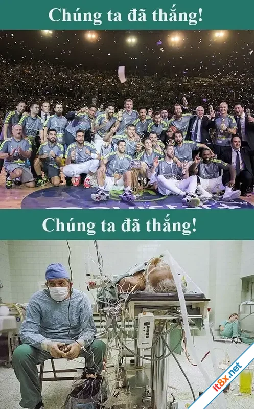 3-chungta.webp