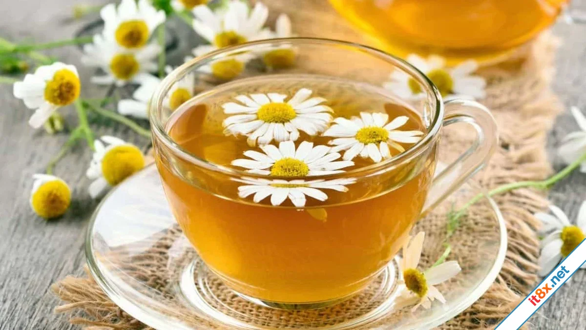 3 lợi ích tuyệt vời của trà hoa cúc đối với sức khỏe tinh thần-1.webp