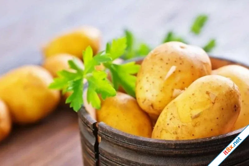 3 thực phẩm giúp chị em trẻ lâu khỏe mạnh-2.webp