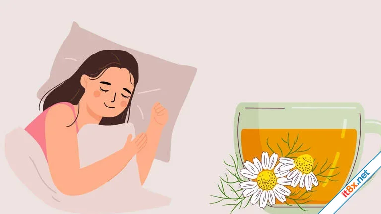 4 thảo dược tự nhiên hỗ trợ ngủ ngon-1.webp