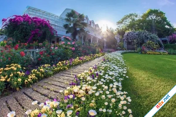 5 nghề hút nhân lực trong tương lai phục vụ riêng giới siêu giàu lương lên đến cả tỷ đồngnăm-3.webp
