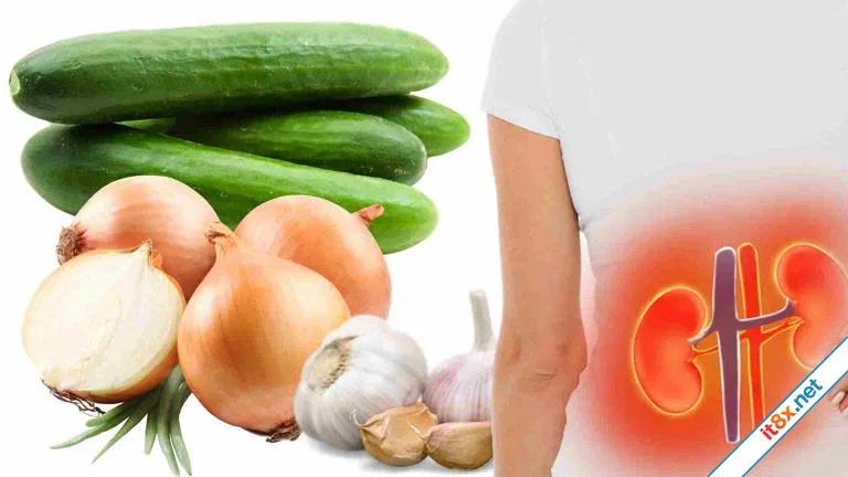 5 thực phẩm hỗ trợ ngăn ngừa tình trạng suy thận-1.webp