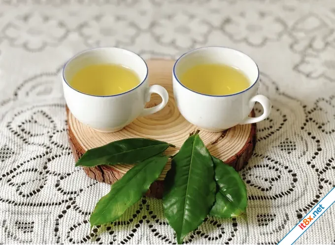 7 loại trà tác dụng bổ não giảm rối loạn tiền đình-1.webp