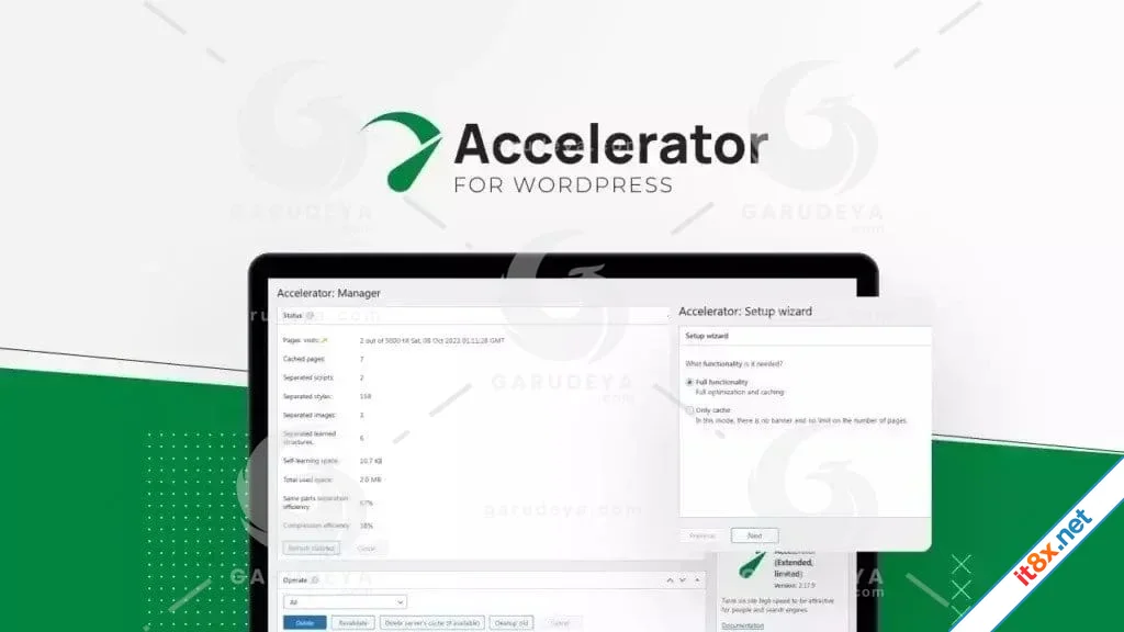 Accelerator Extended for WordPress-1.webp