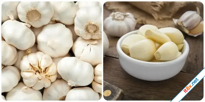 Ăn 2 tép tỏi sống mỗi ngày có tác dụng gì-1.webp