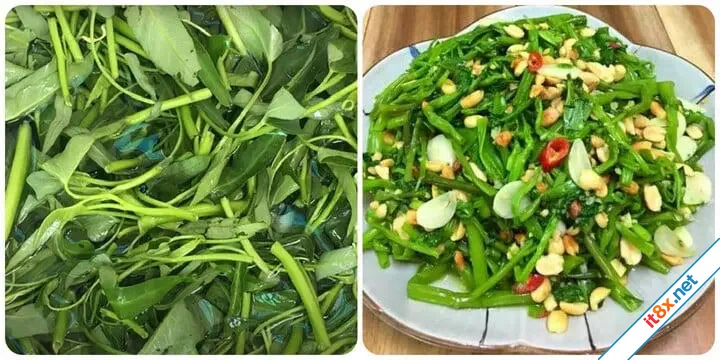 Ăn rau muống hàng ngày có tốt-1.webp