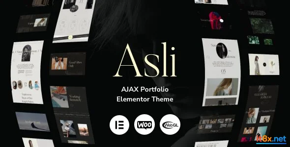Asli - AJAX Portfolio Elementor WordPress Theme