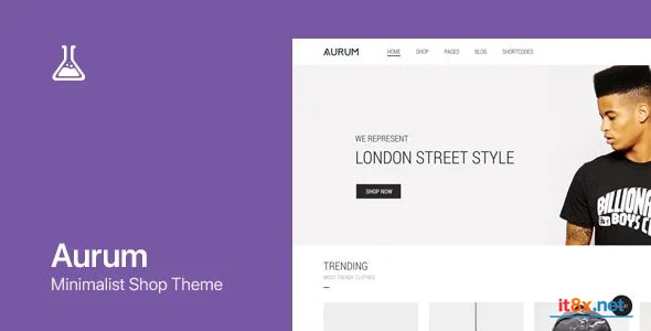 Aurum WordPress WooCommerce Shopping Theme-1.webp