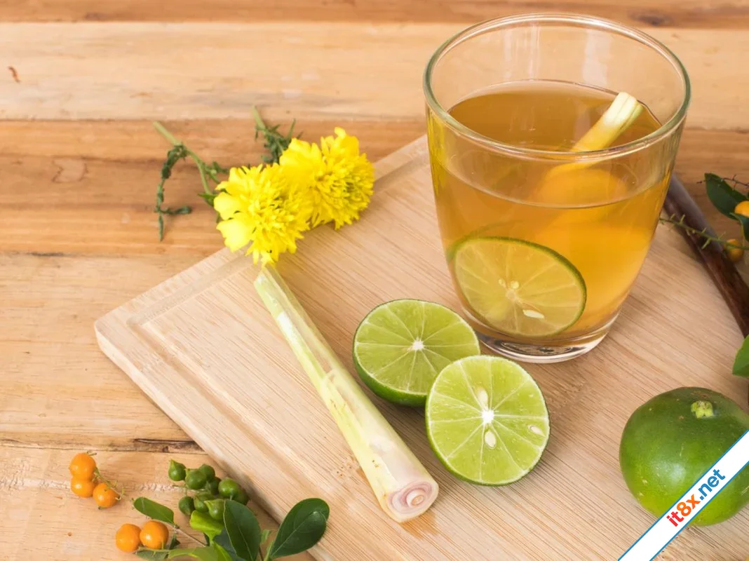 Ba thức uống tốt cho người bệnh viêm xoang-1.webp