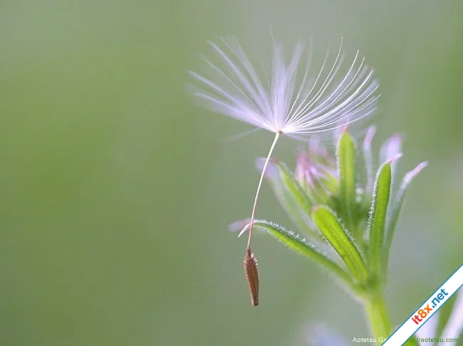 Bai-toan-tinh-yeu.webp