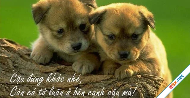 Ban-than-va-nguoi-quen.webp
