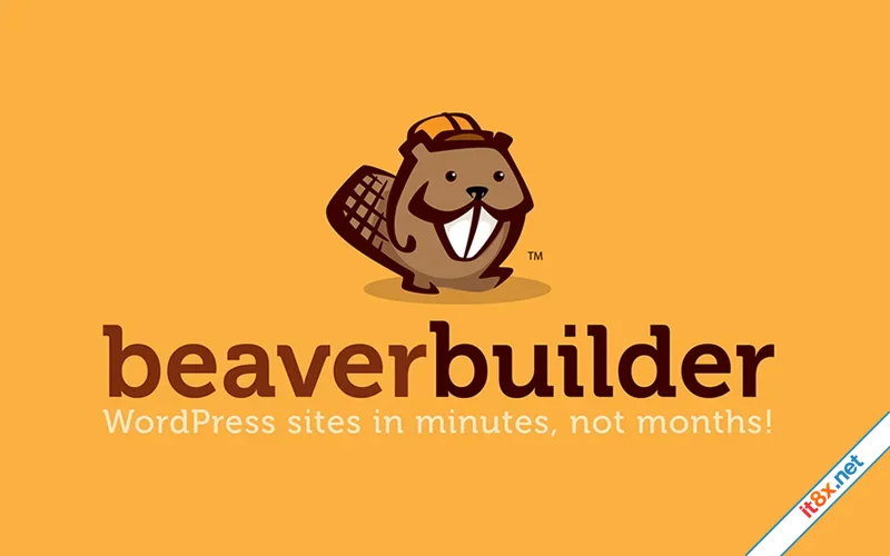 Beaver Builder Pro + Themer WordPress Page Builder Plugin-1.webp