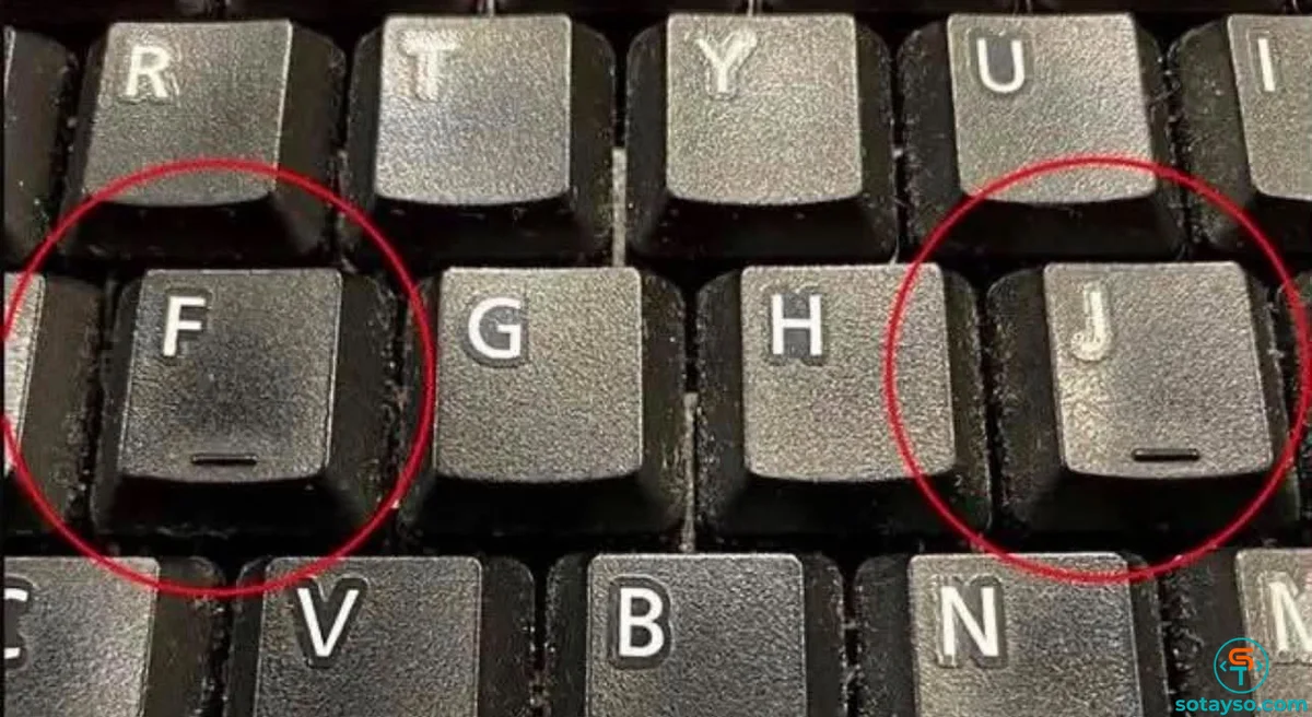Bí mật bất ngờ về hai vạch nổi trên phím F và J của bàn phím máy tính-1.webp