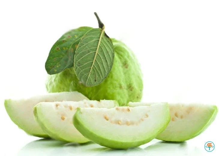 Bổ sung chất xơ đúng cách để phòng ngừa bệnh táo bón-1.webp