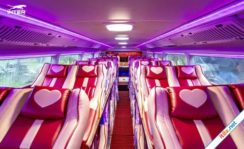 bus tinh yeu.webp