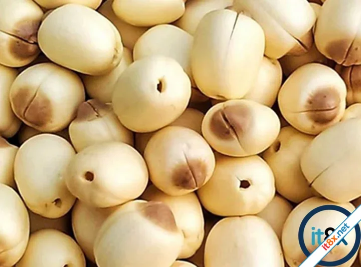 Cách hầm thịt bò bí đỏ thơm ngon-2.webp