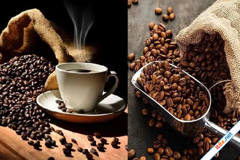 cafe-moi-ngay.webp