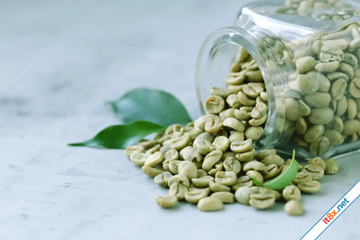 cafe-verde.webp