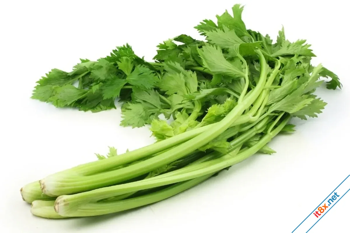Cần tây.webp