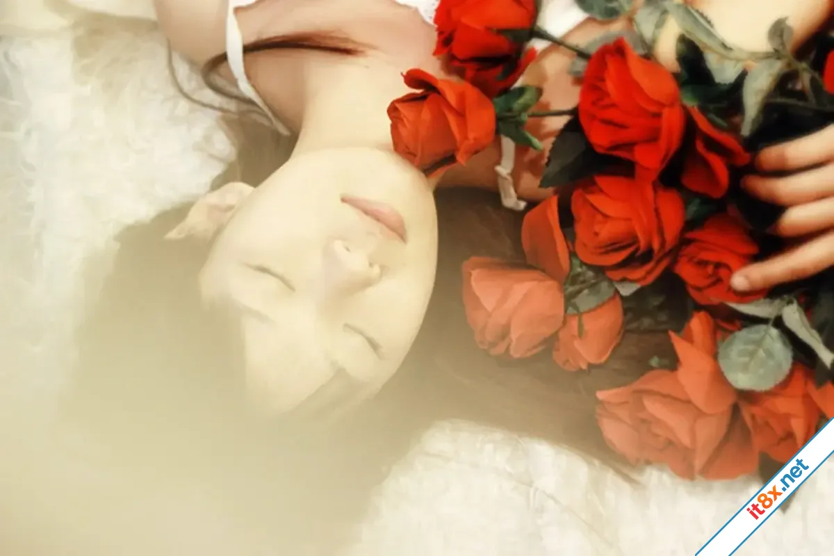 canh-hong.webp