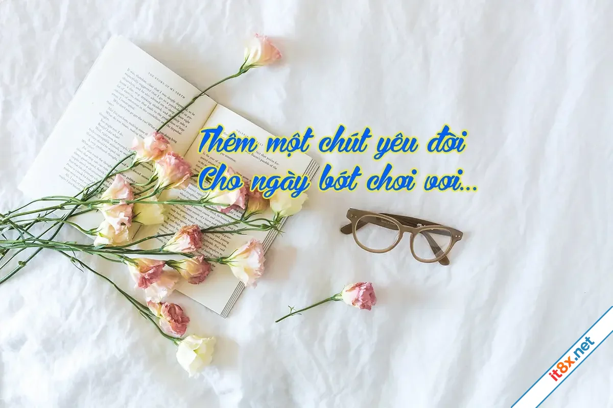 cau-noi-hay.webp