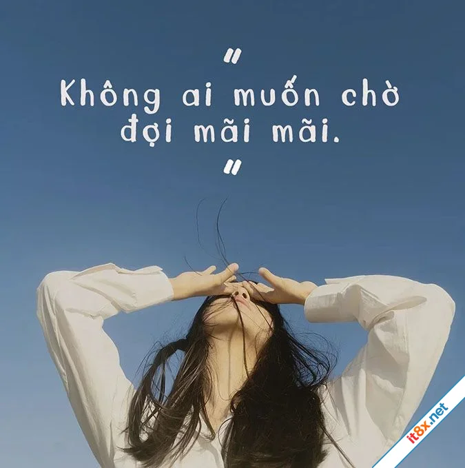 cho doi.webp