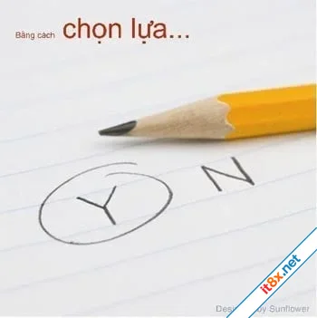 Chon-lua.webp