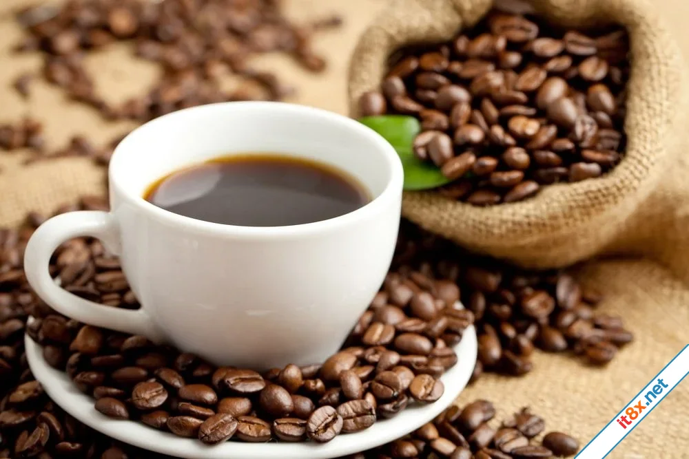 coffee.webp