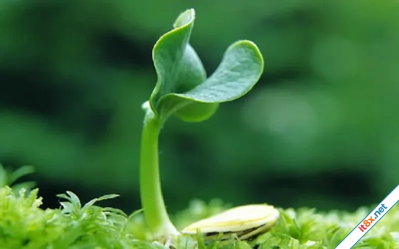 Con đường ngắn nhất để thoát khỏi gian nan là đi xuyên qua nó-1.webp
