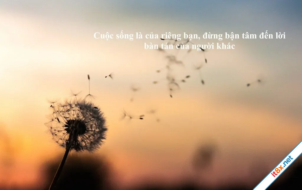 cuoc-song-la-cua-rieng-ban.webp