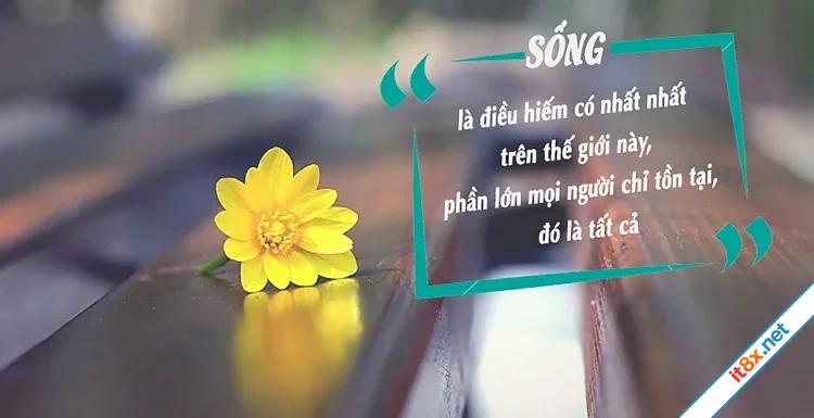cuoc-song.webp