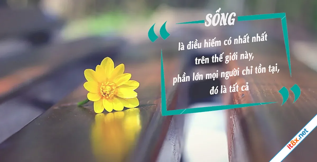 cuocsong.webp
