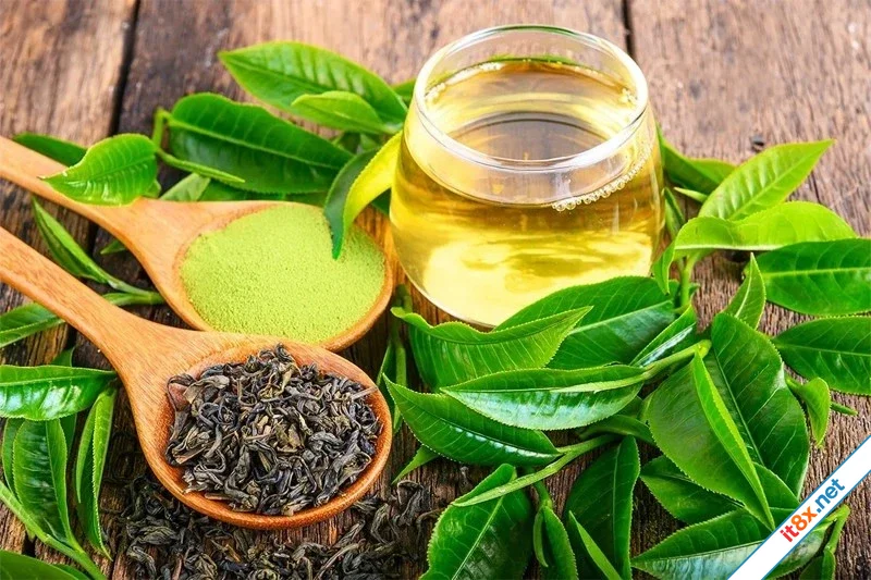 Điểm danh các loại trà là cứu tinh của làn da-1.webp