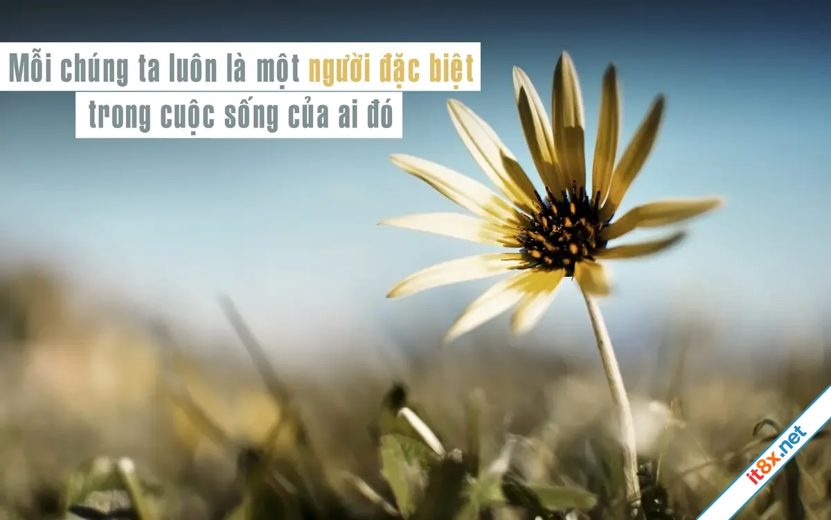 dieu-dac-biet.webp
