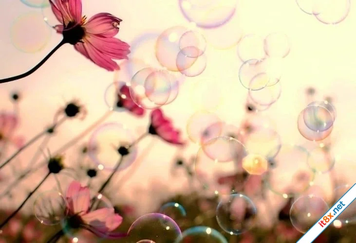 do-khon-em-yeu-anh.webp