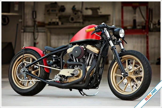 DP-Customs-Hollywood.webp