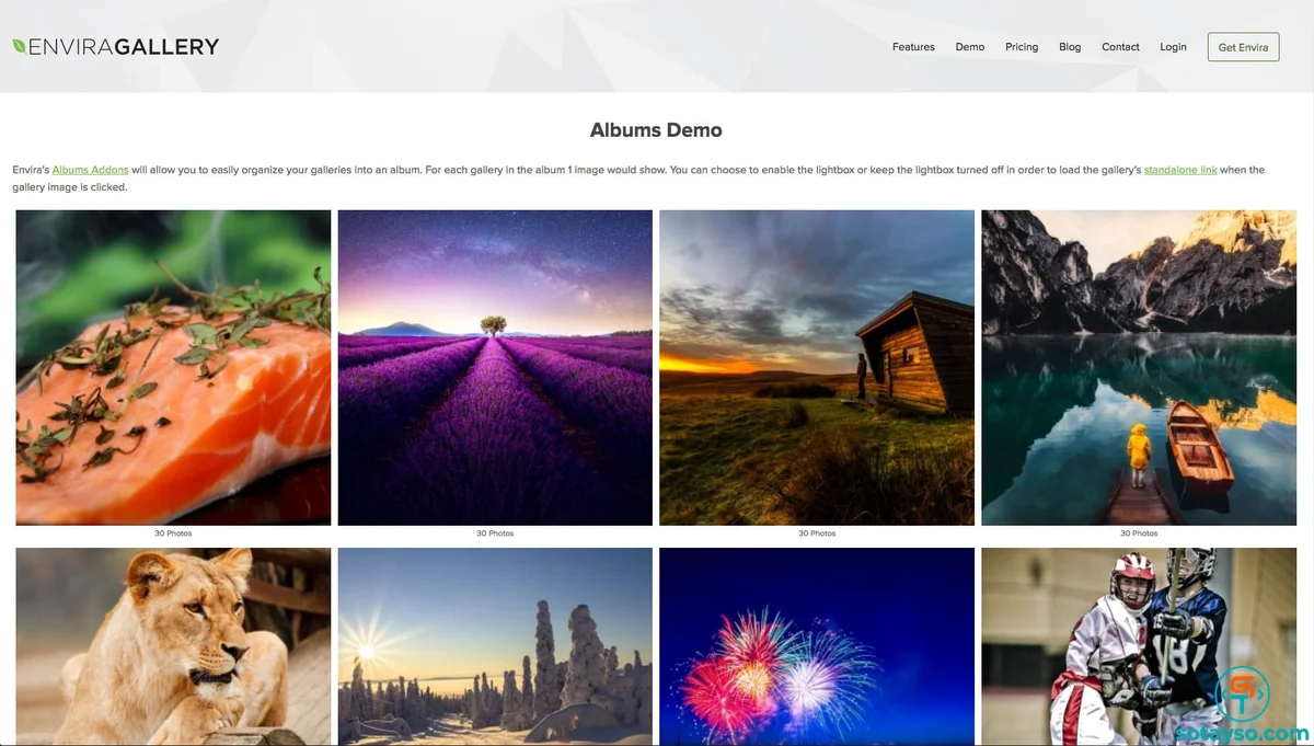 Envira Gallery - WordPress Gallery Plugin