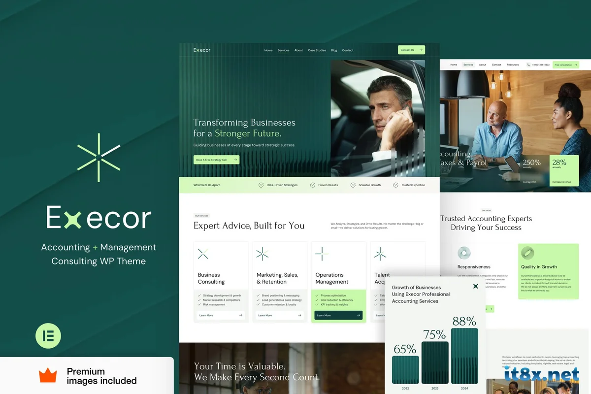 Execor Accounting and Management Consulting WordPress Theme-1.webp