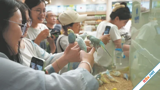 Gen Z Trung Quốc chữa lành bằng video ngắn-2.webp