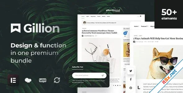 Gillion MultiConcept BlogMagazine Shop WordPress AMP Theme-1.webp