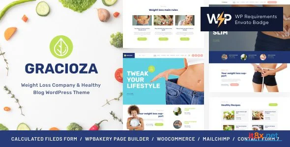 Gracioza Weight Loss Clinic Healthy Blog WordPress Theme-1.webp