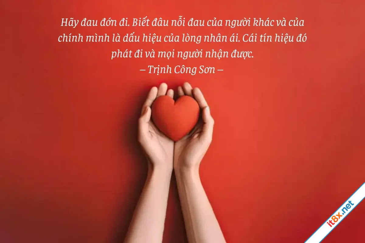 hay yeu thuong.webp