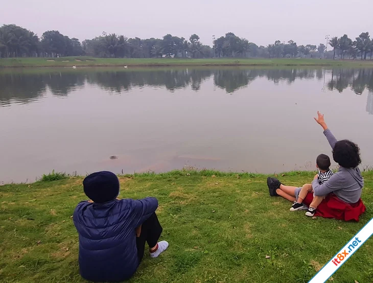 Hố bom quê tôi-1.webp
