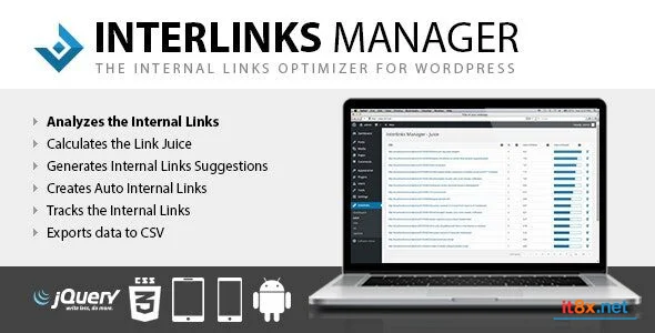 Interlinks Manager Internal Links Optimizer for WordPress-1.webp
