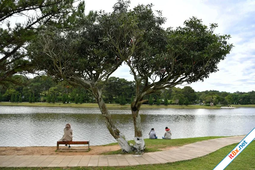 Khoảnh khắc cuộc sống-4.webp