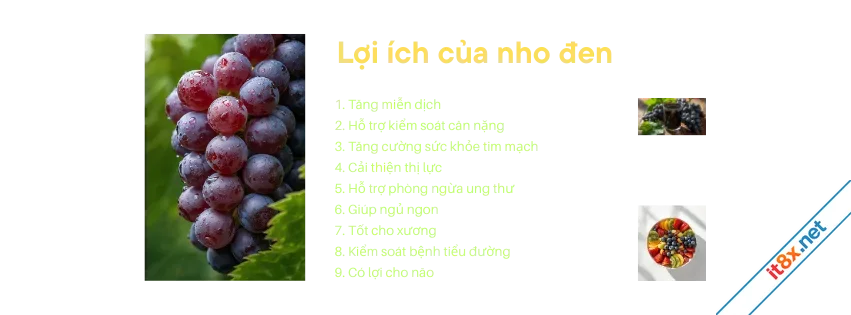 Lợi ích của nho đen.webp