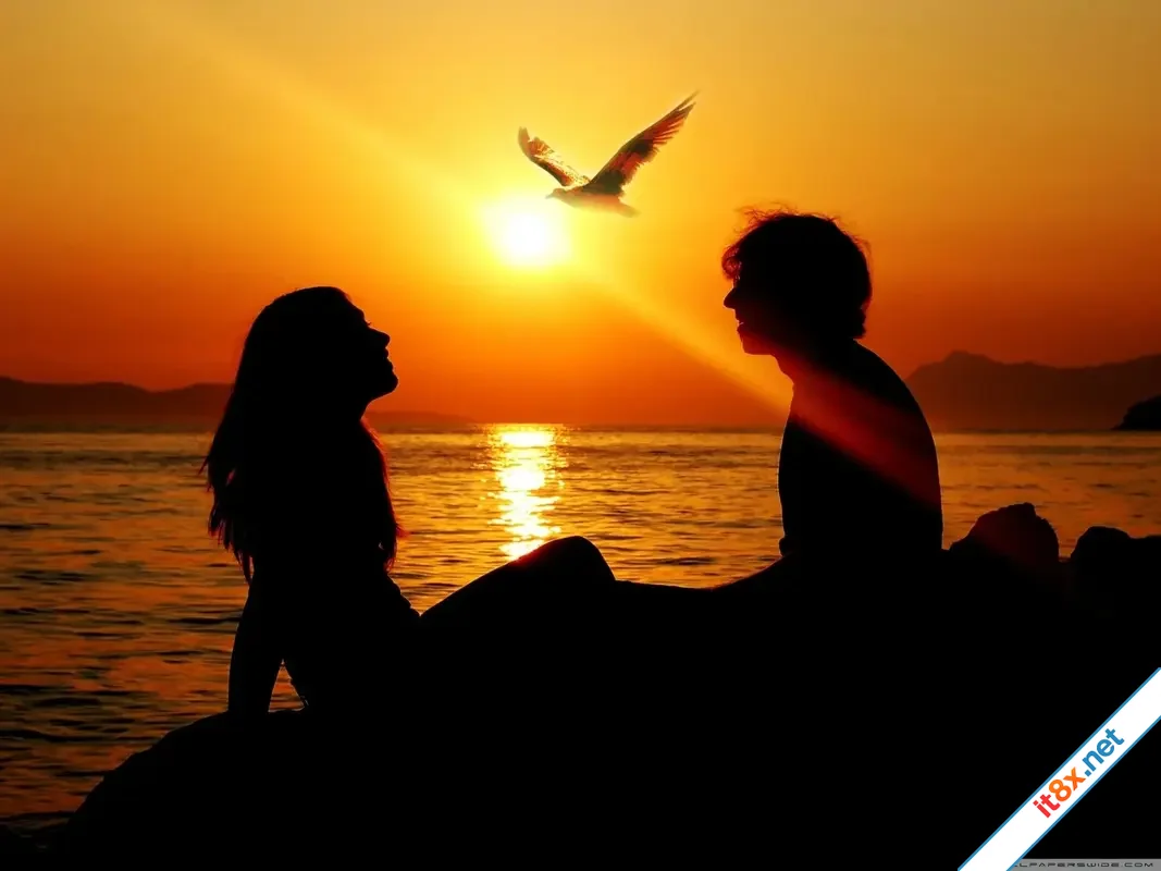 loi-to-tinh.webp