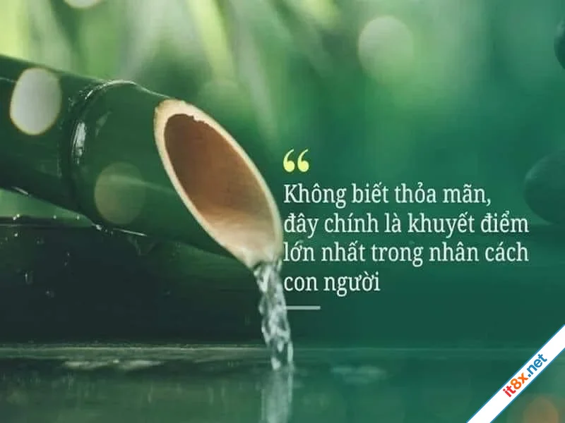 Lòng tham Một câu chuyện hay có ý nghĩa-1.webp