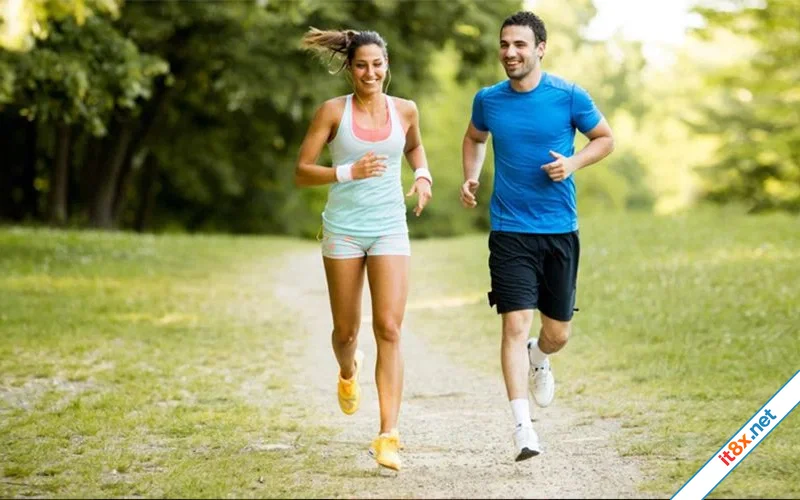 Lý do nên đưa aerobic vào chế độ tập luyện hằng ngày-1.webp